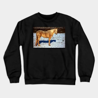 North Norfolk Horse Crewneck Sweatshirt